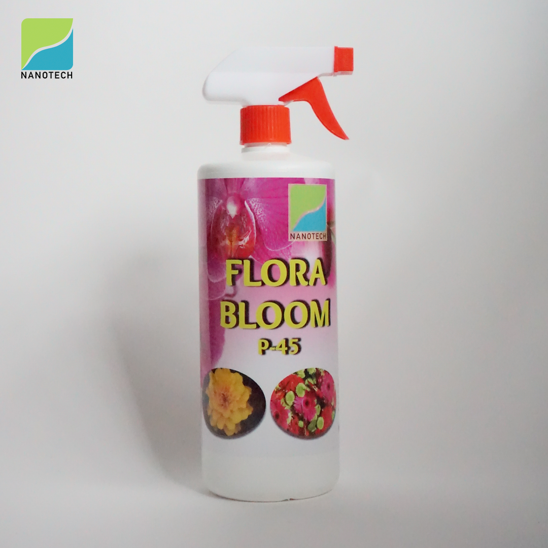 flora-bloom